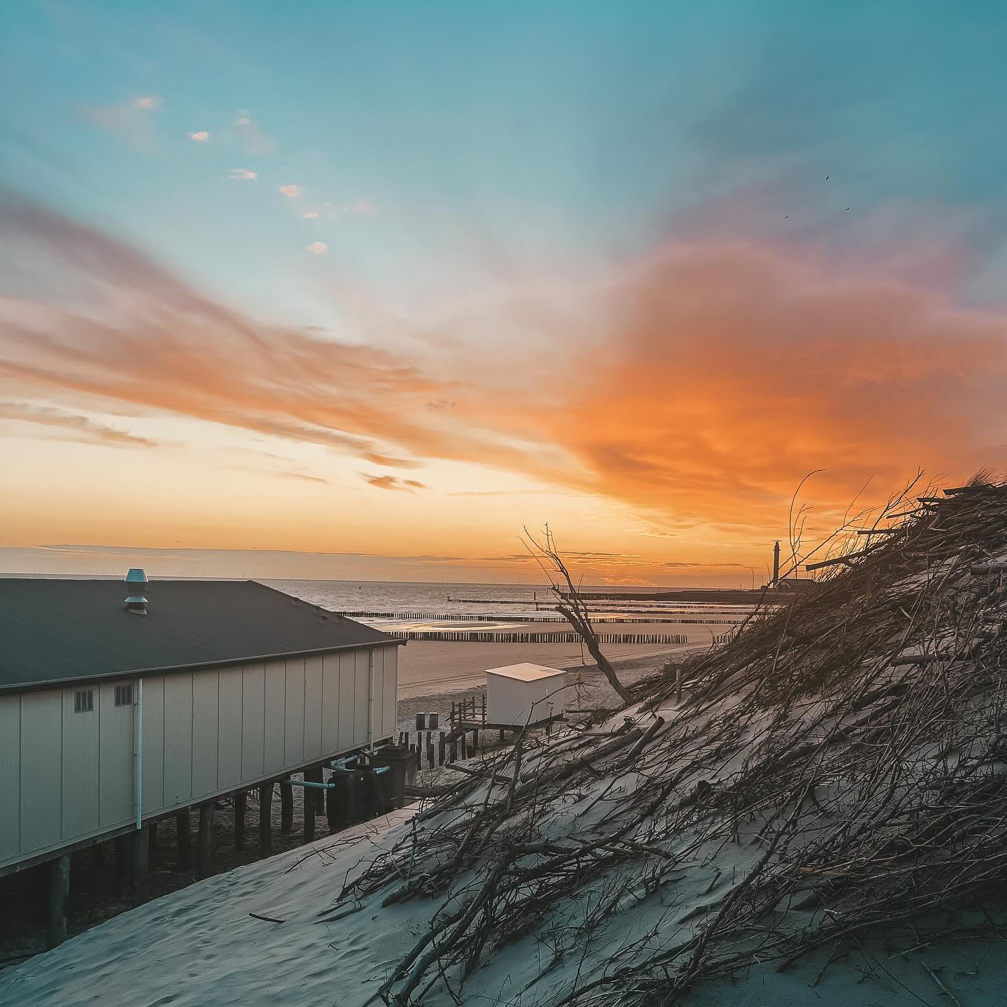 Gallery photo alt text