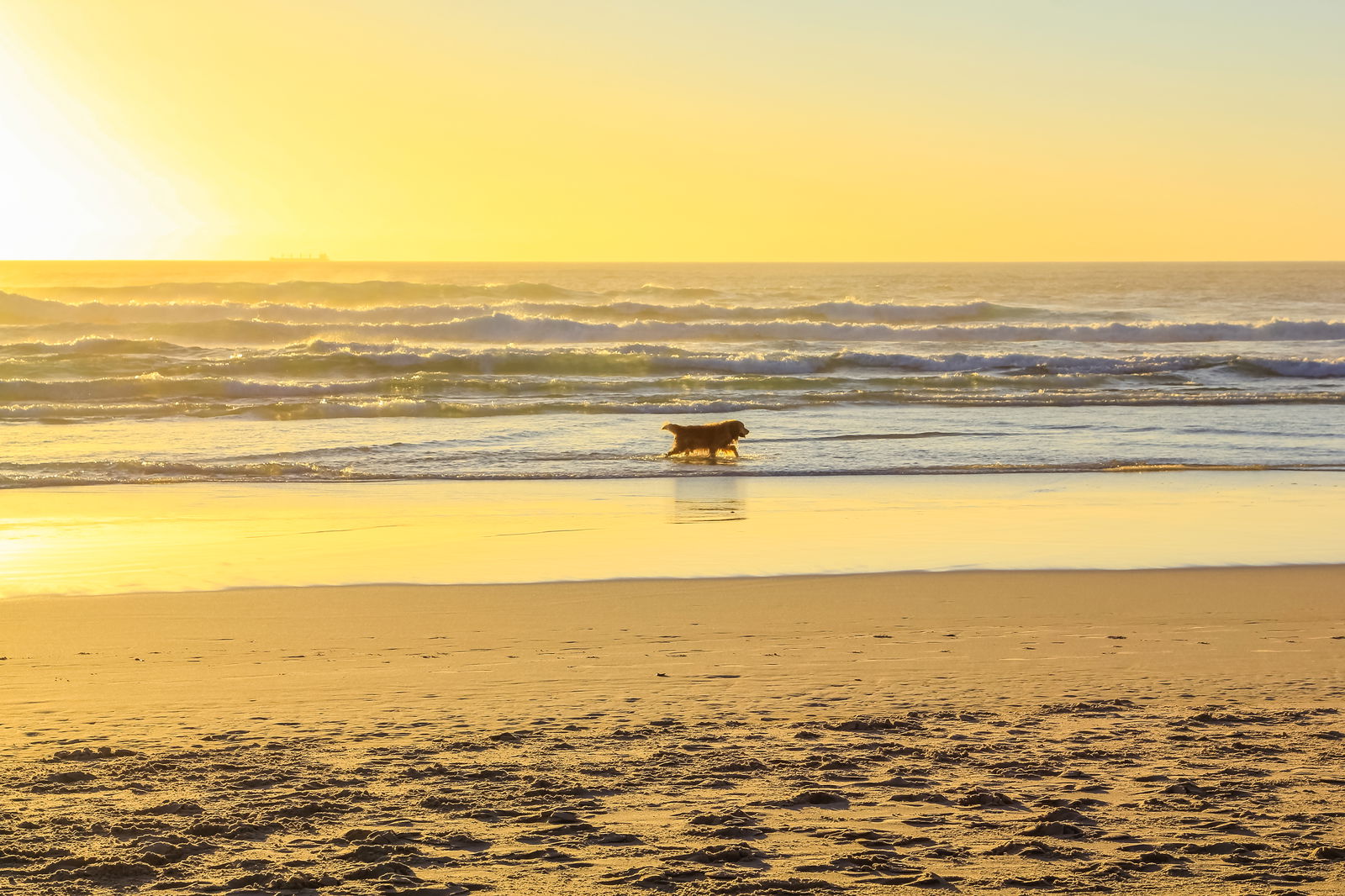 Malerischer Ausblick auf den Strand gegen den Himmel bei Sonnenuntergang.