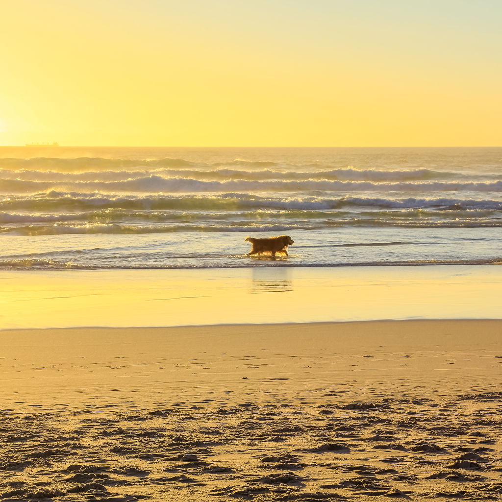 Schilderachtig uitzicht op het strand tegen de lucht bij zonsondergang.