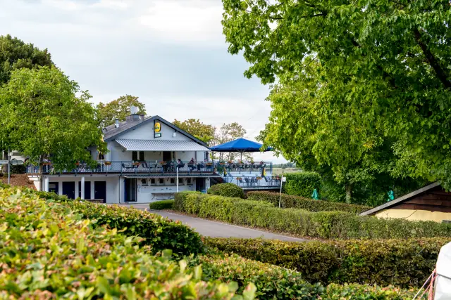 Gallery photo alt text