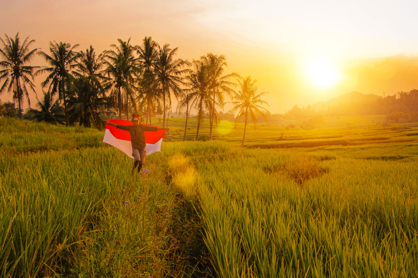 Asian country boy holding indonesian flag