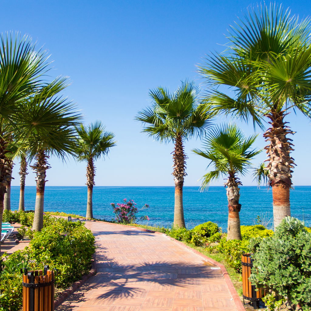 Summer vacation travel concept