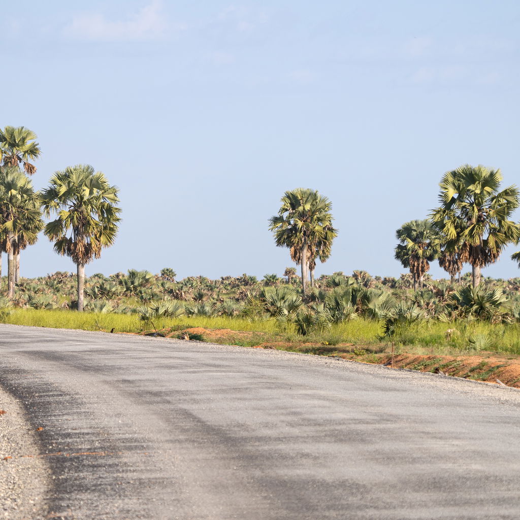Panoramic scenic view into landscape Uganda