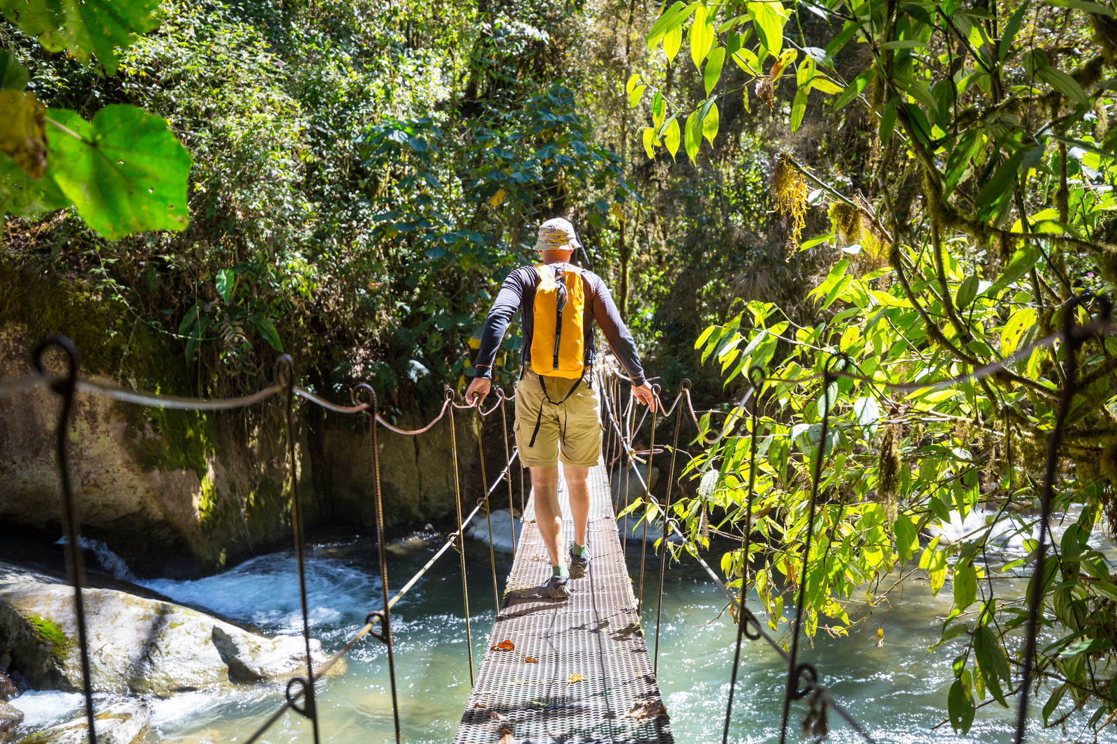 Wandelen in de groene tropische jungle van Costa Rica