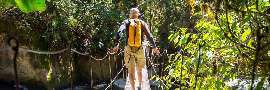 Hiking green tropical jungle costa rica