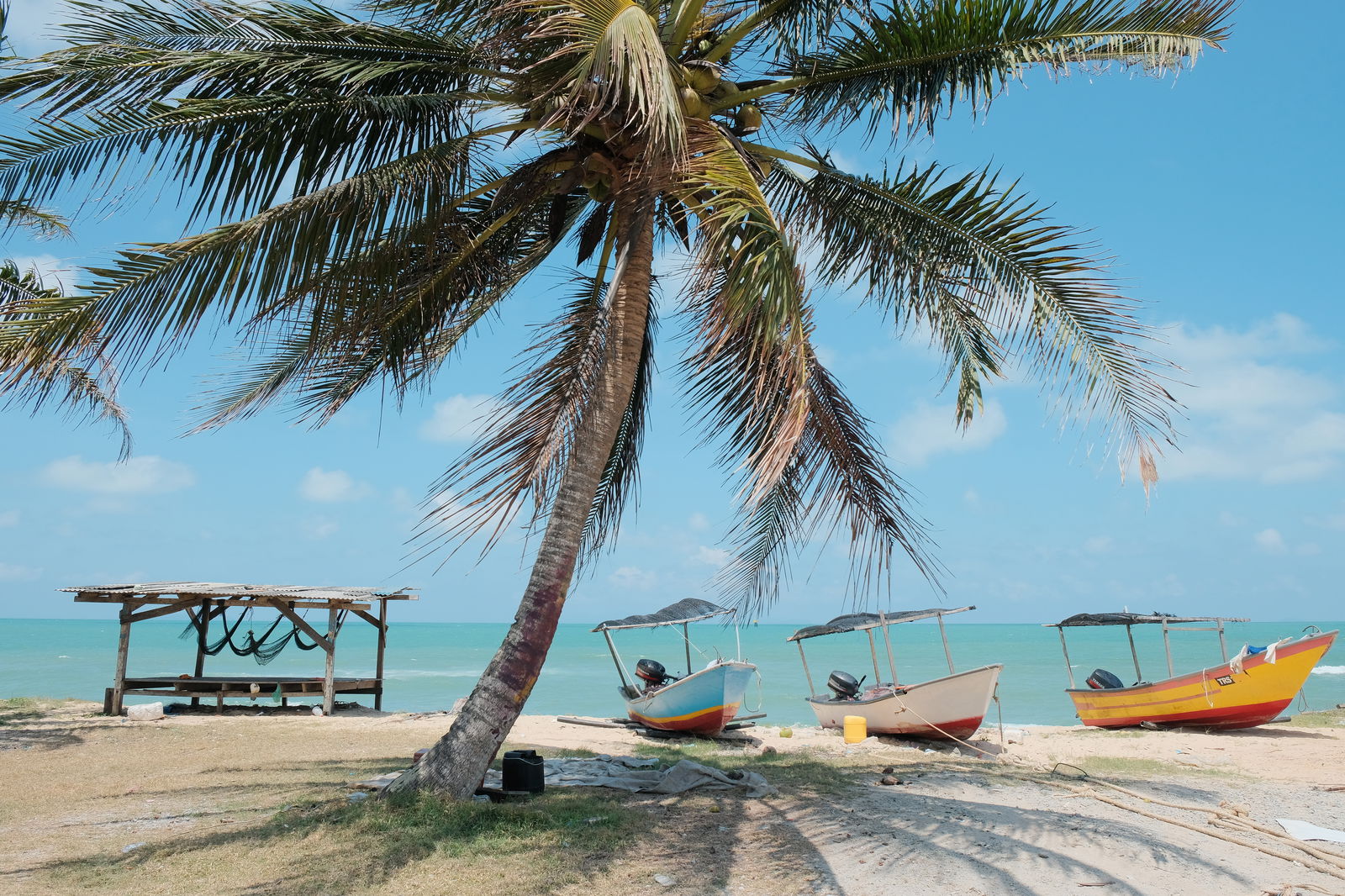 Boats beach with palmtree at Aruba
