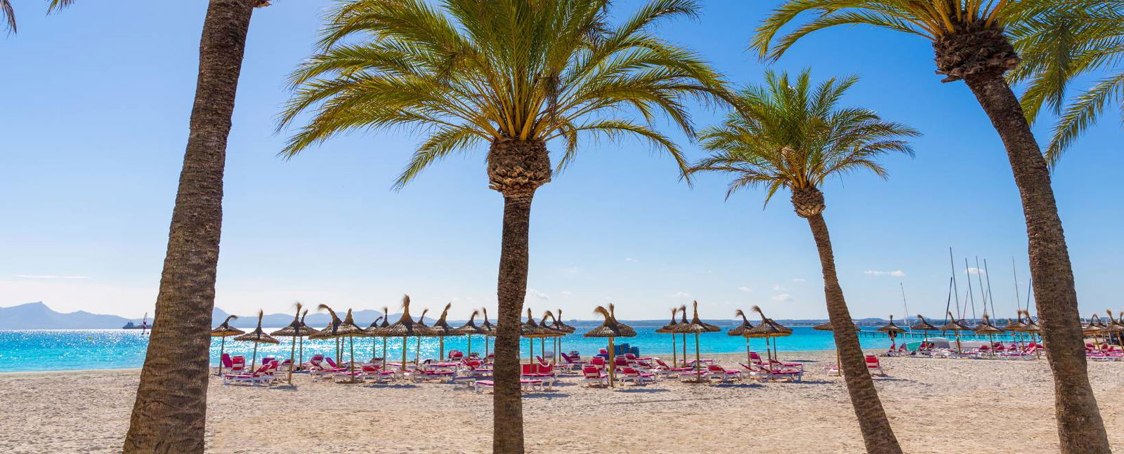 Strand auf Mallorca mit Palmen