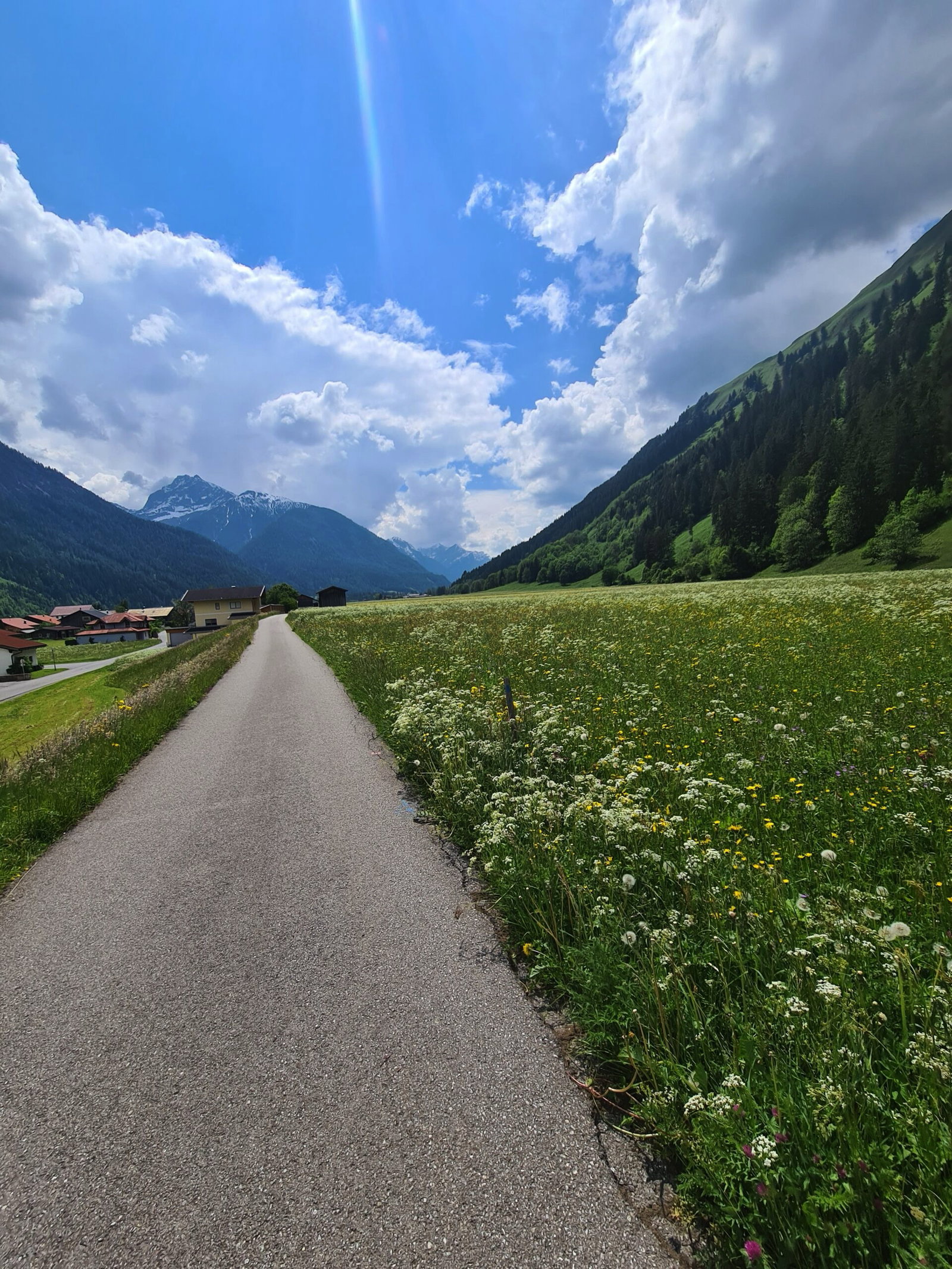 Gallery photo alt text