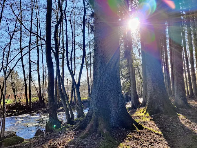 Gallery photo alt text