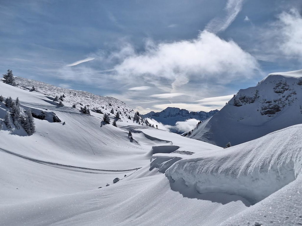 Gallery photo alt text