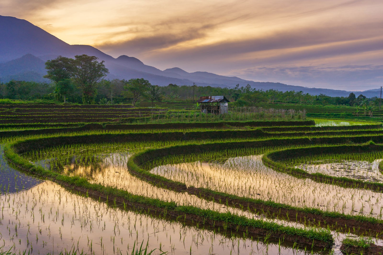 Beautiful morning view indonesia panorama landscape