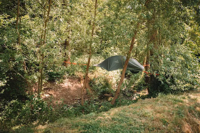 Gallery photo alt text