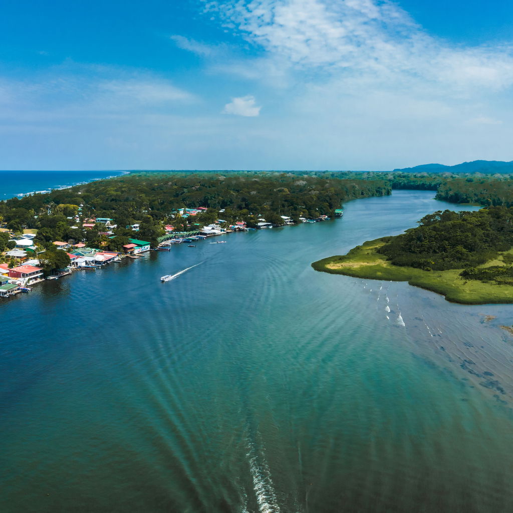 Tortuguero national park turtle beach