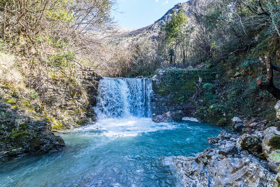 Gallery photo alt text