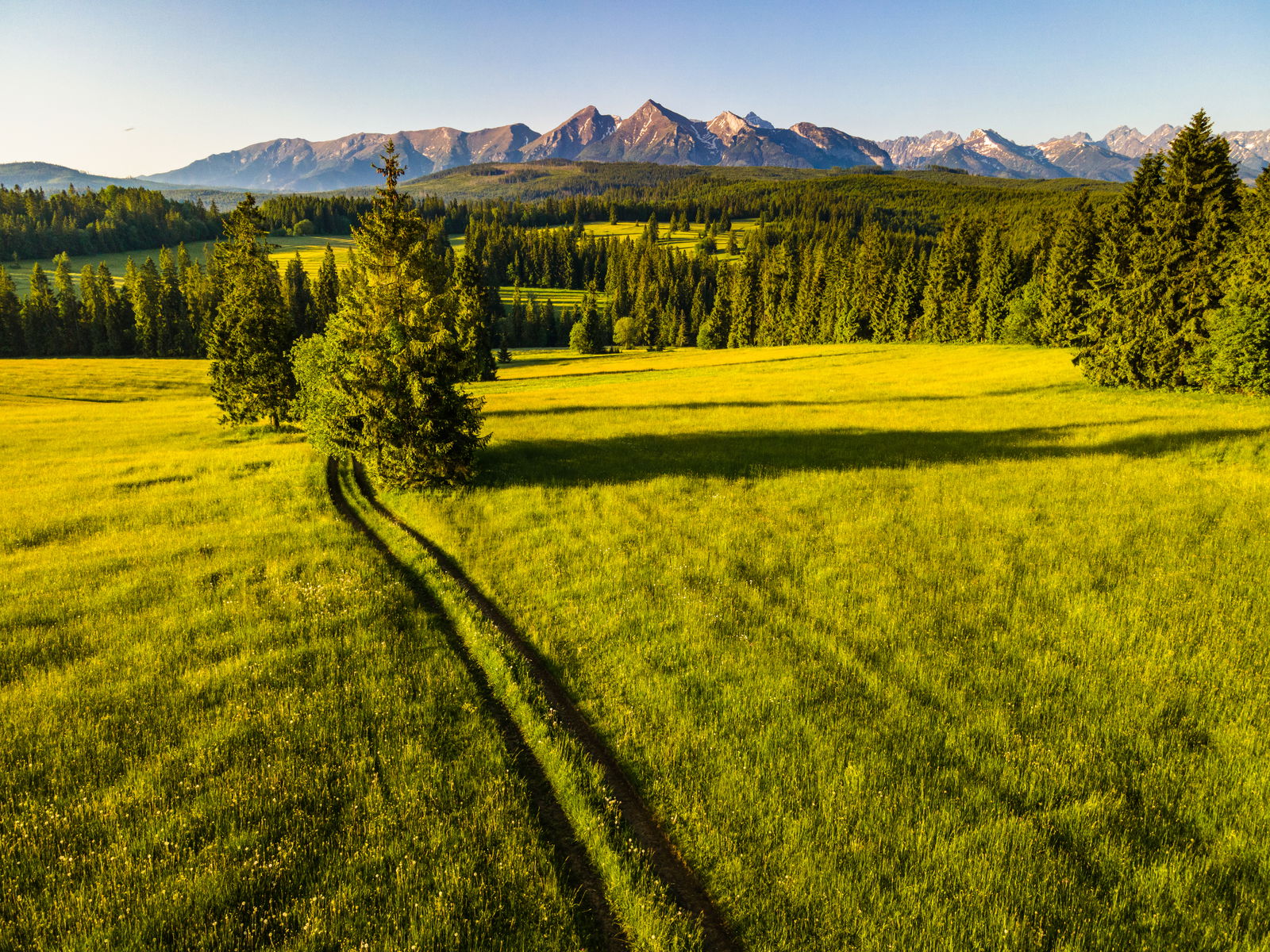 Countryside in Poland on Summerday