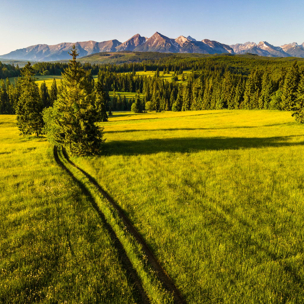 Countryside in Poland on Summerday