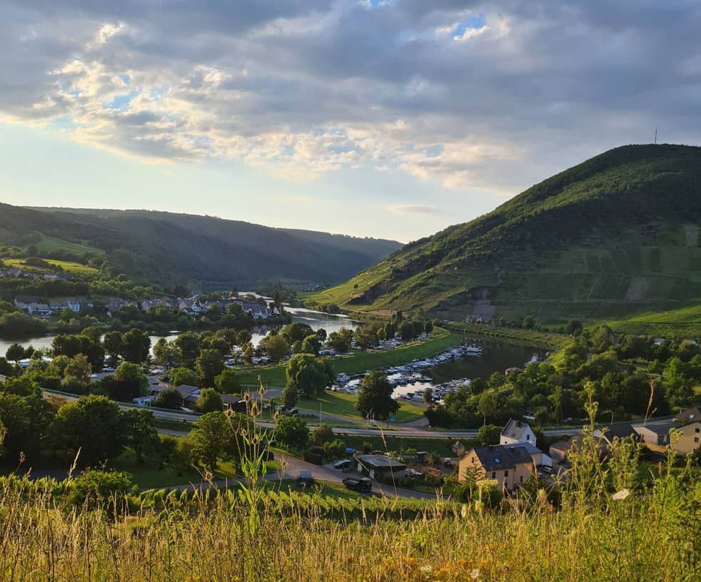 Gallery photo alt text