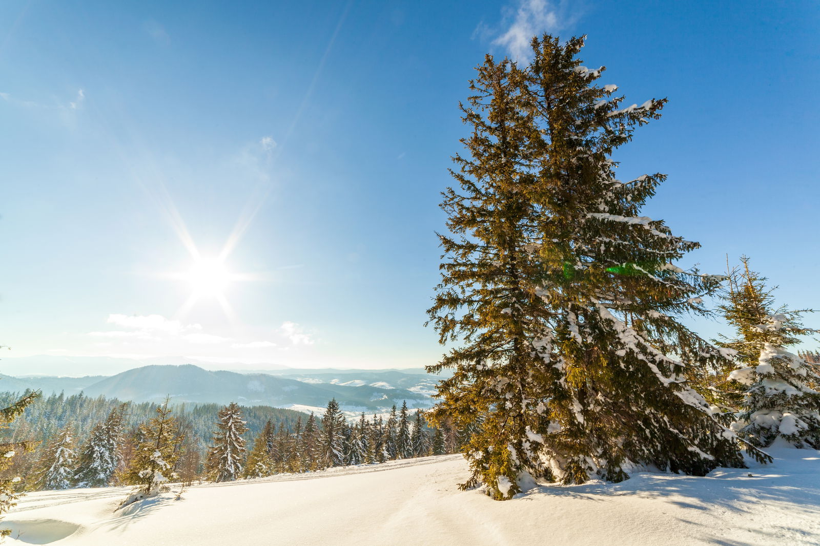 Idealistisch winterlandschap in de Alpen