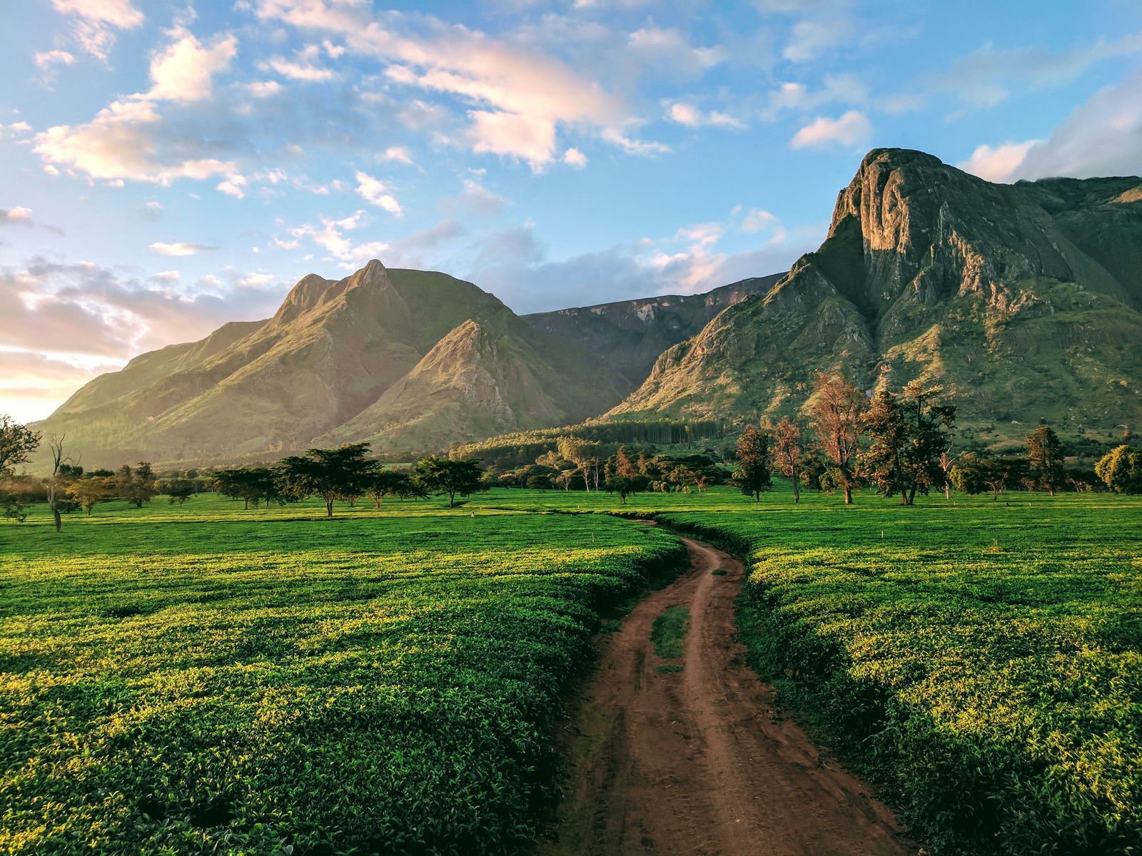 Prachtige natuur met velden en bergen in Malawi