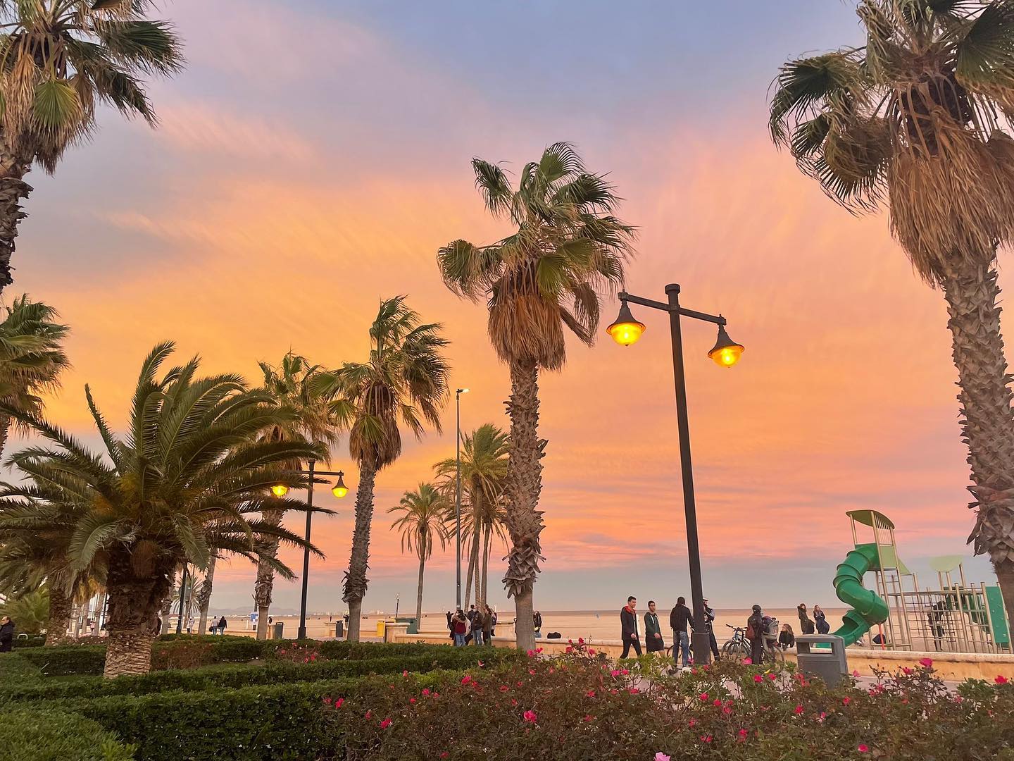 Gallery photo alt text