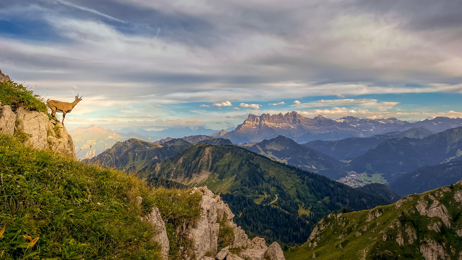 Gallery photo alt text