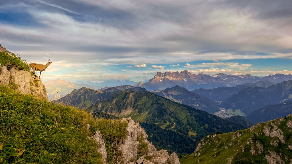 Gallery photo alt text