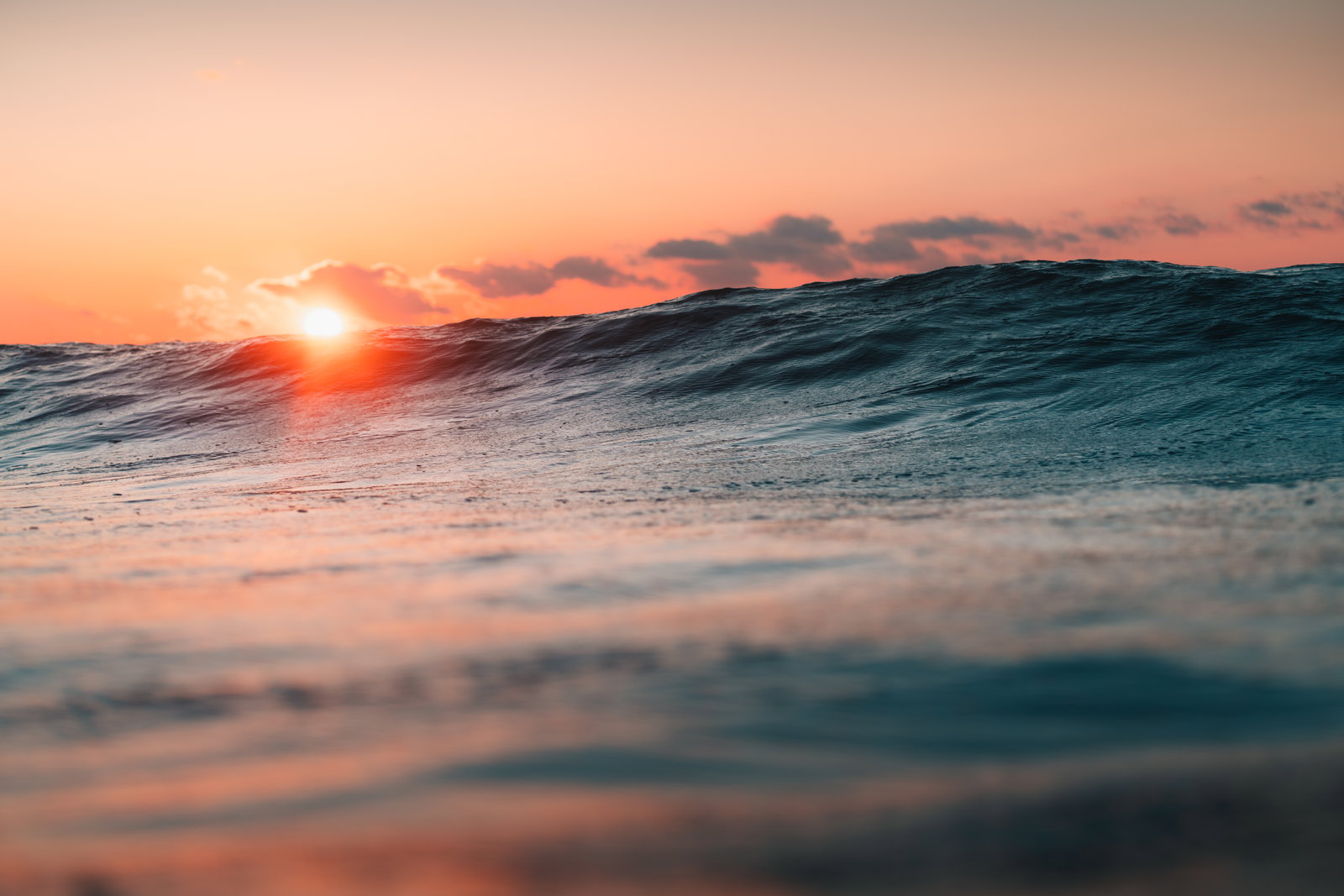 Gallery photo alt text