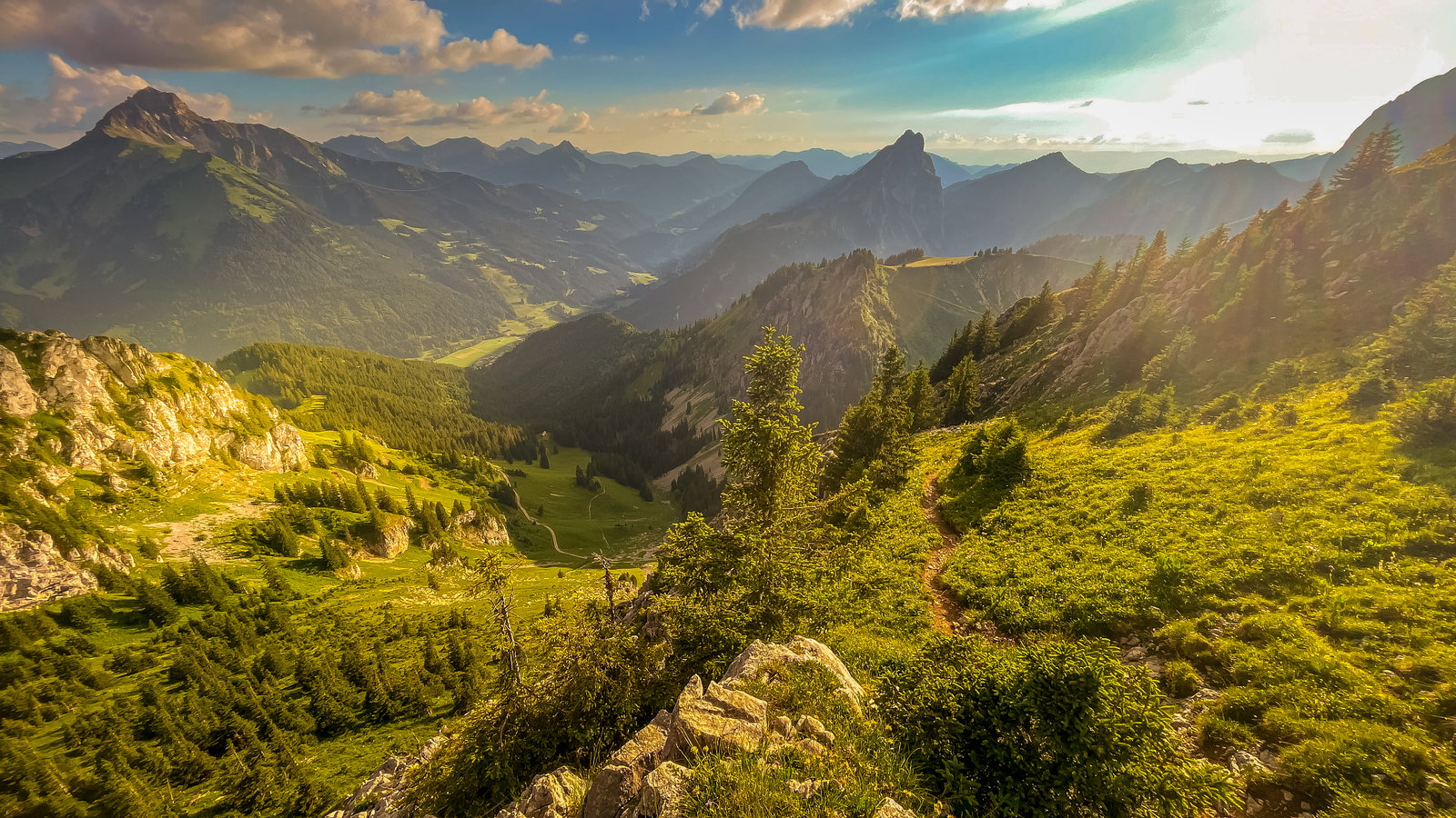 Gallery photo alt text