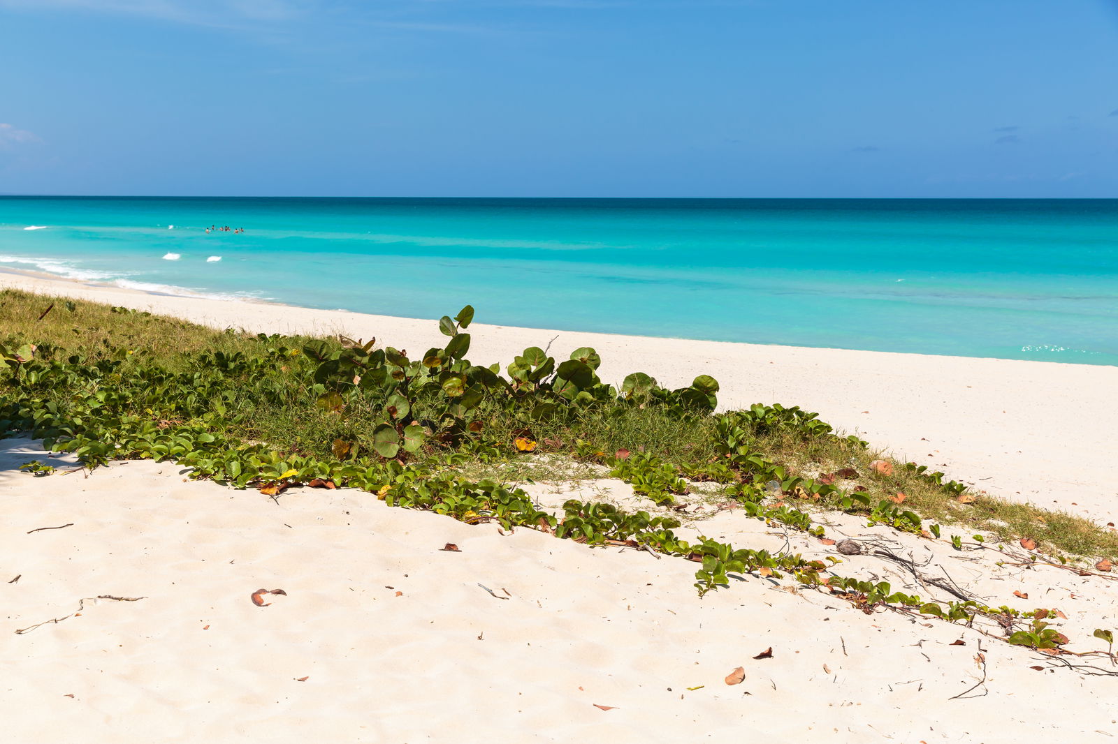 Panoramic view of caribbean varadero beach