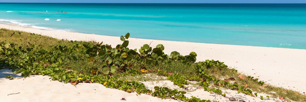 Panoramic view of caribbean varadero beach