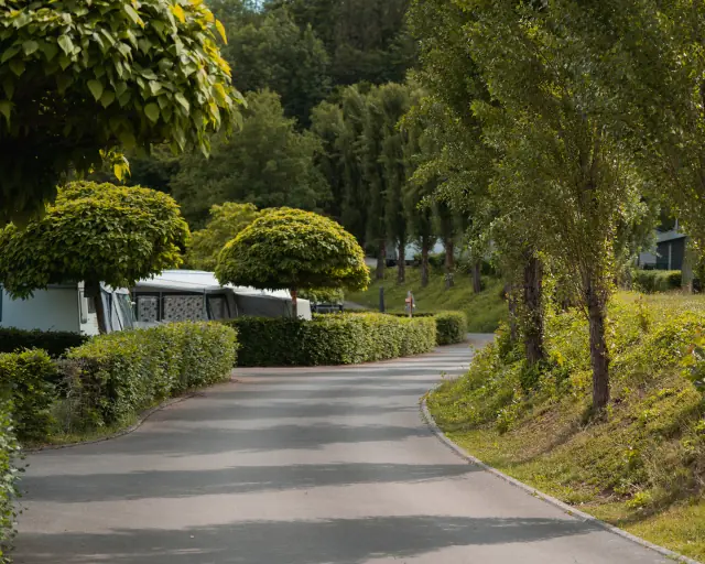 Gallery photo alt text