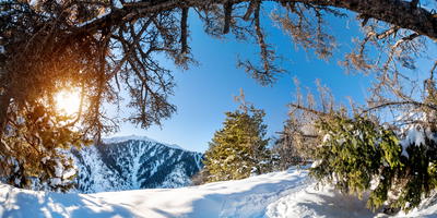 Panoramisch uitzicht in de bergen van Oostenrijk
