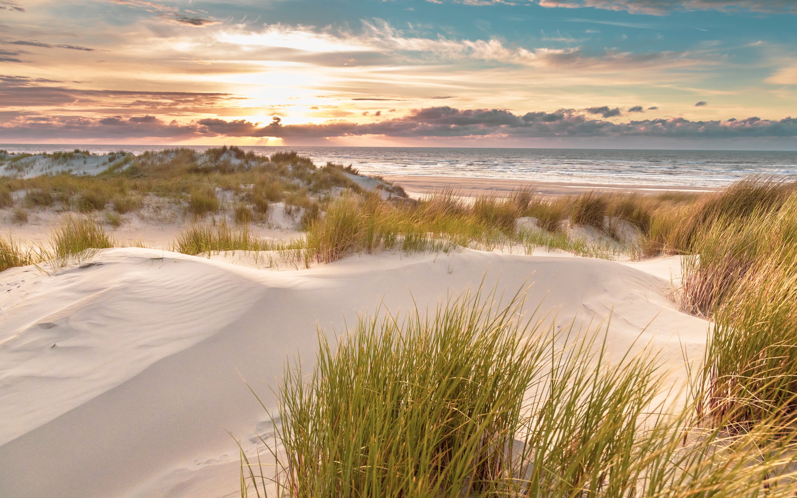 Gallery photo alt text