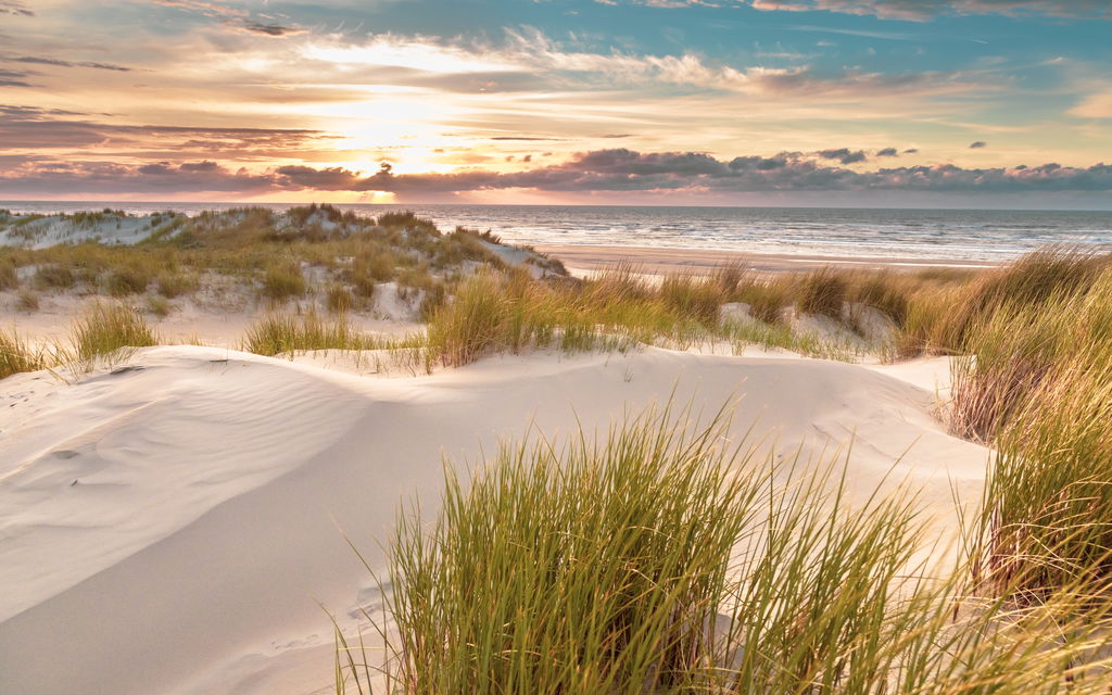 Gallery photo alt text