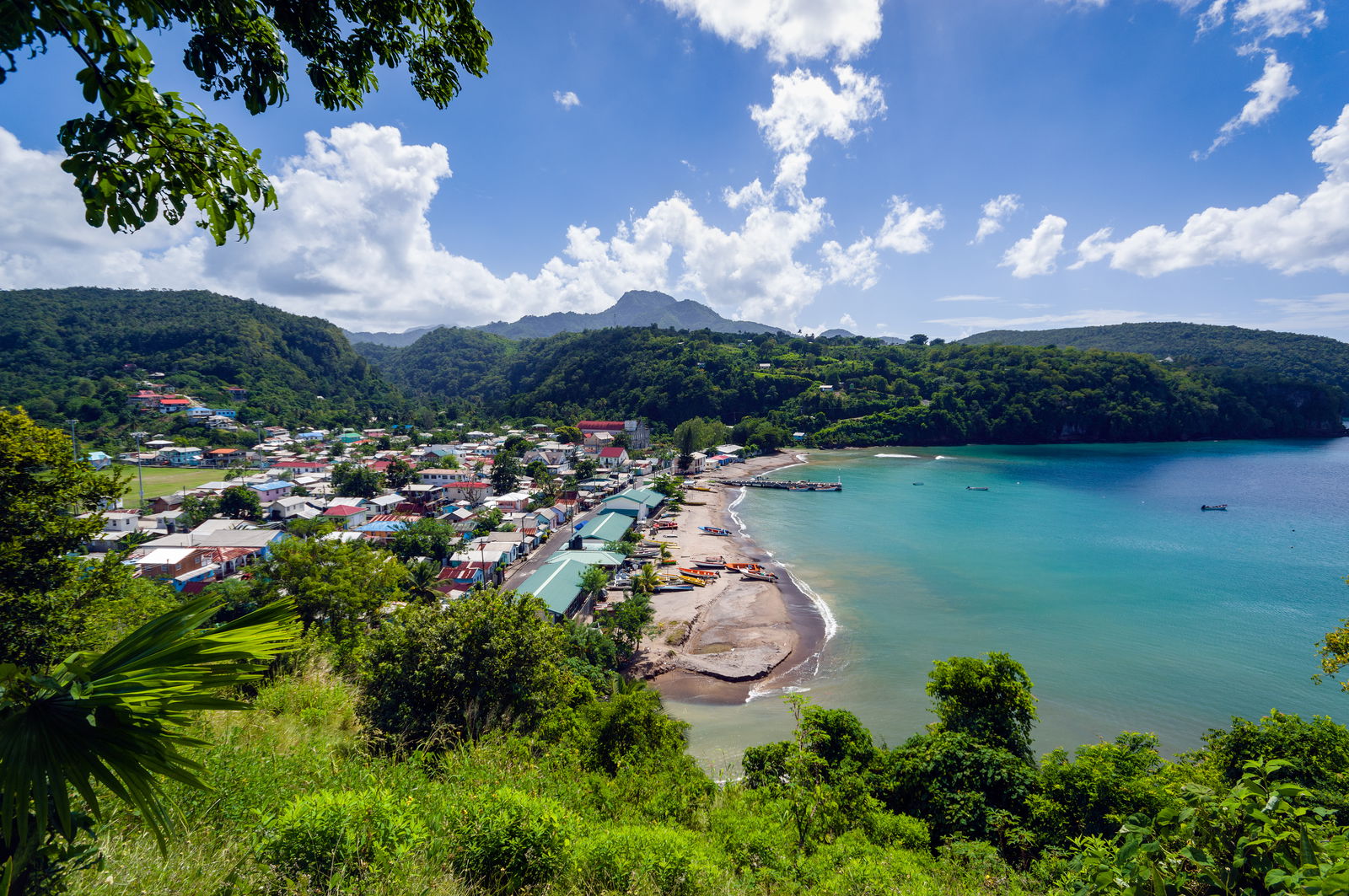 high angle view plants sea agains sky
