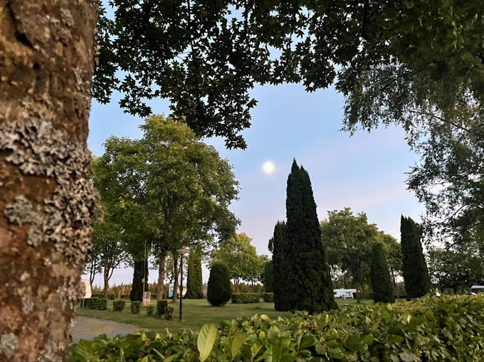 Gallery photo alt text