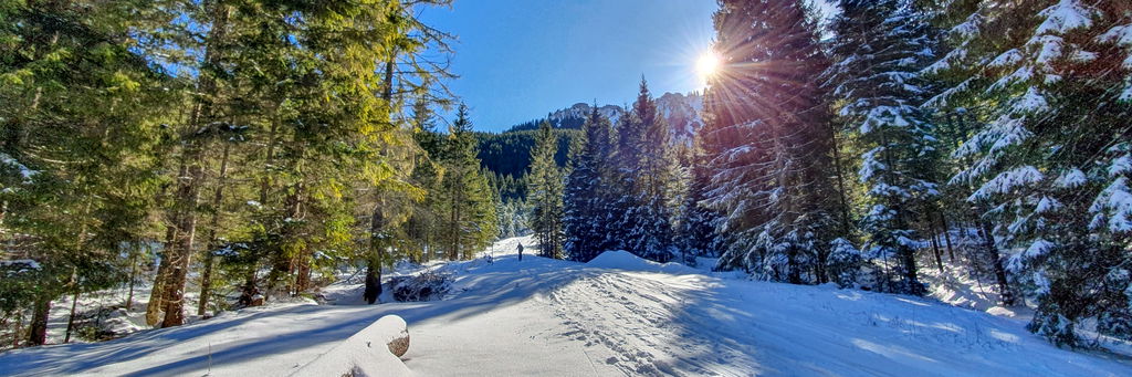 Wanderung zur Sonne Winterlandschaft