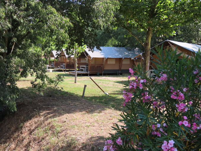 Gallery photo alt text