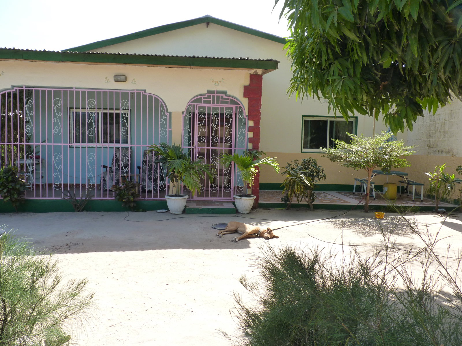 Gallery photo alt text