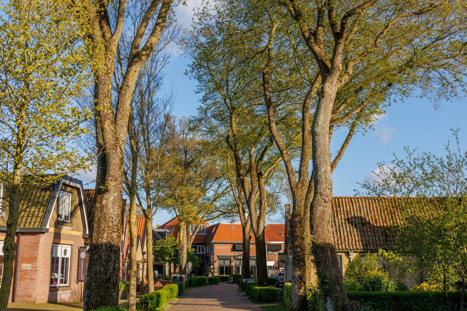 Gallery photo alt text