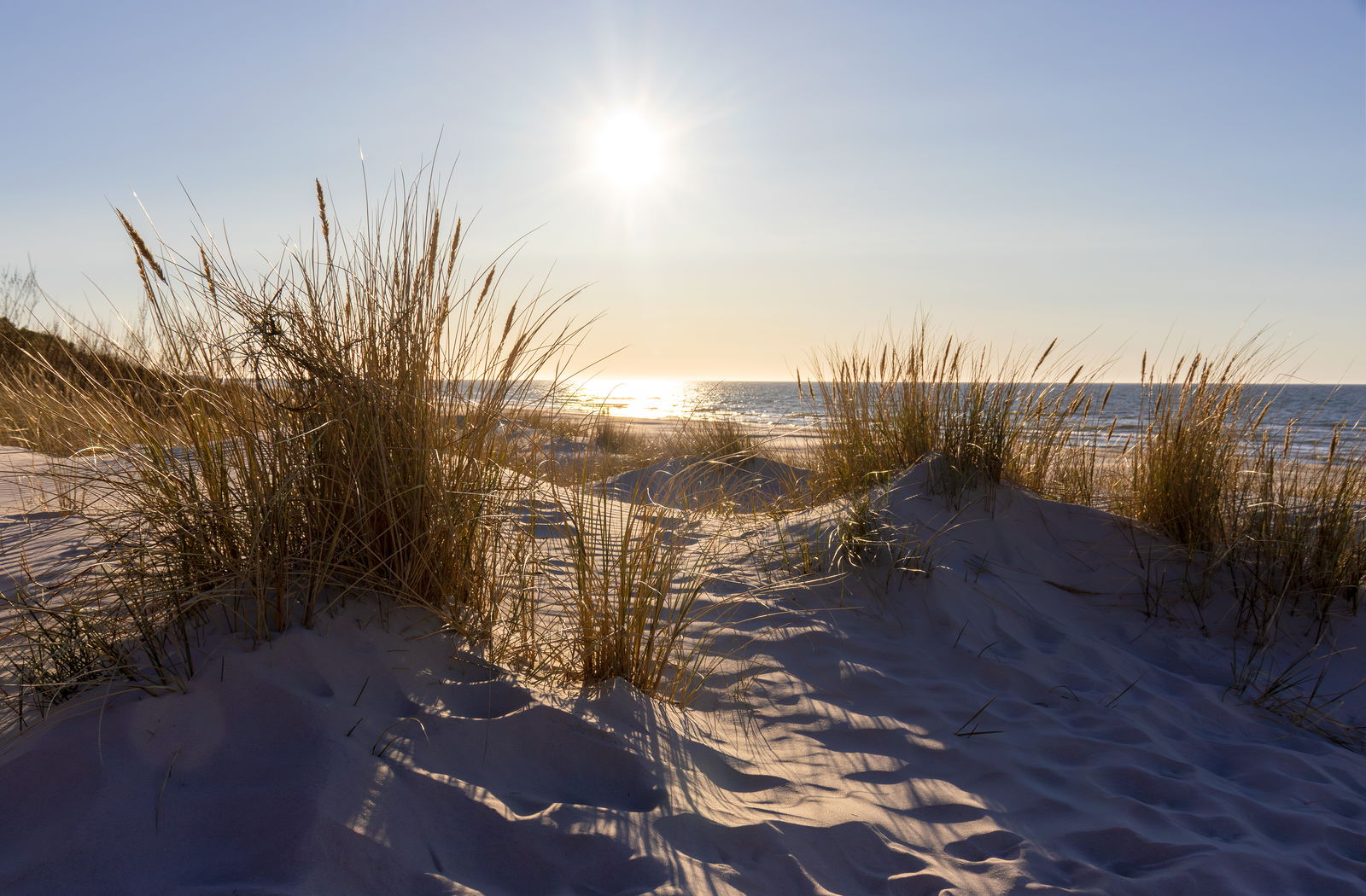 Beach with sand dunes in The Netherlands