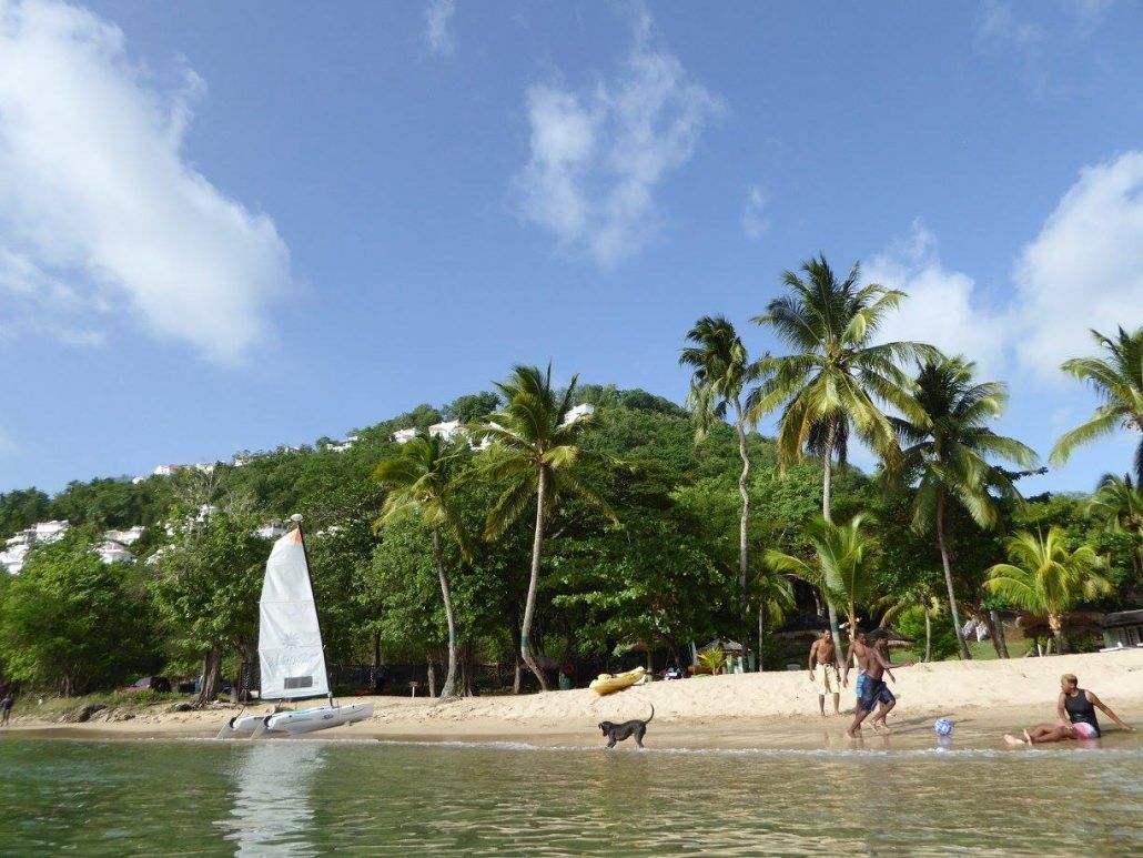 Gallery photo alt text