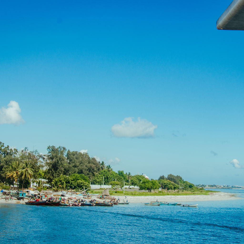 Fish market on sunny day in tanzania