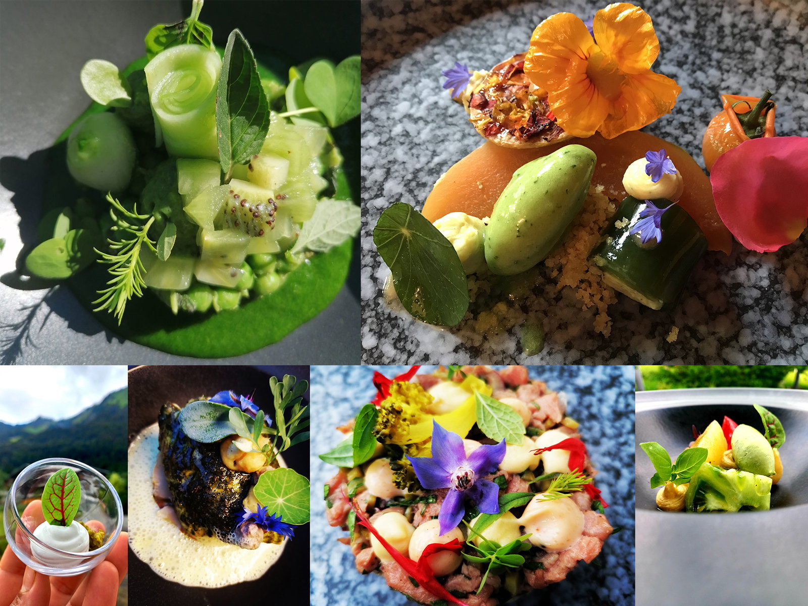 Gallery photo alt text