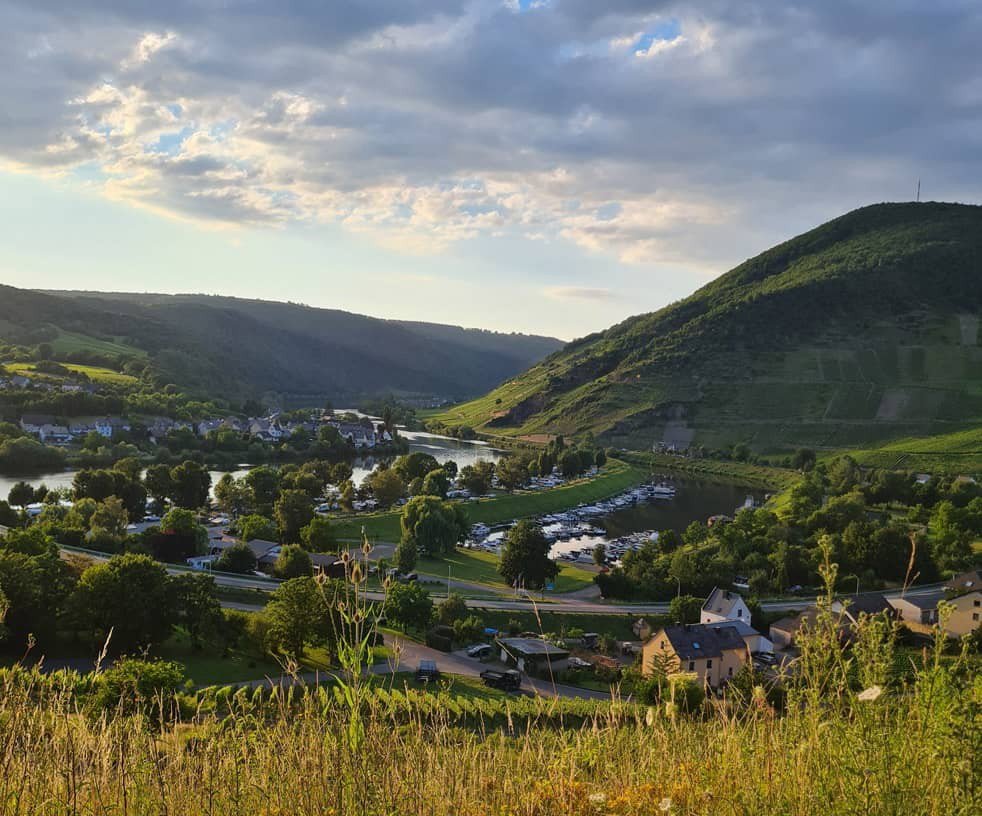 Gallery photo alt text