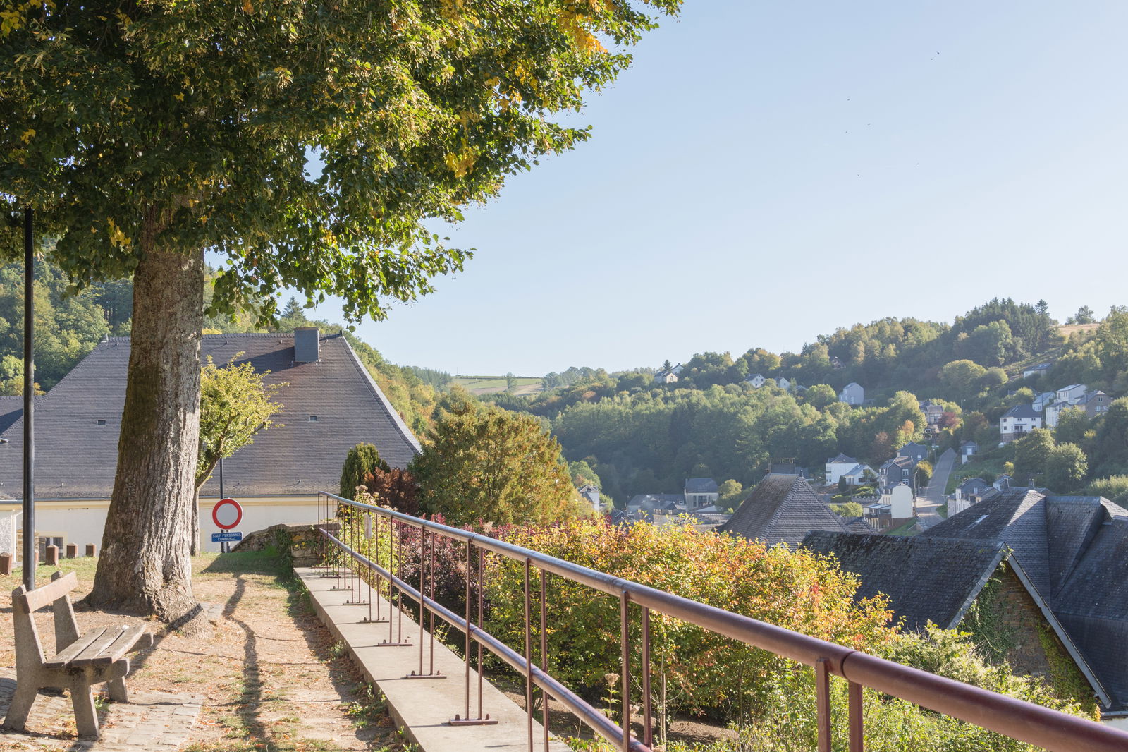 Road surrounded by trees against a clear sky